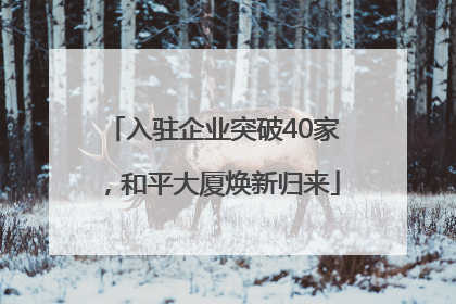入驻企业突破40家，和平大厦焕新归来